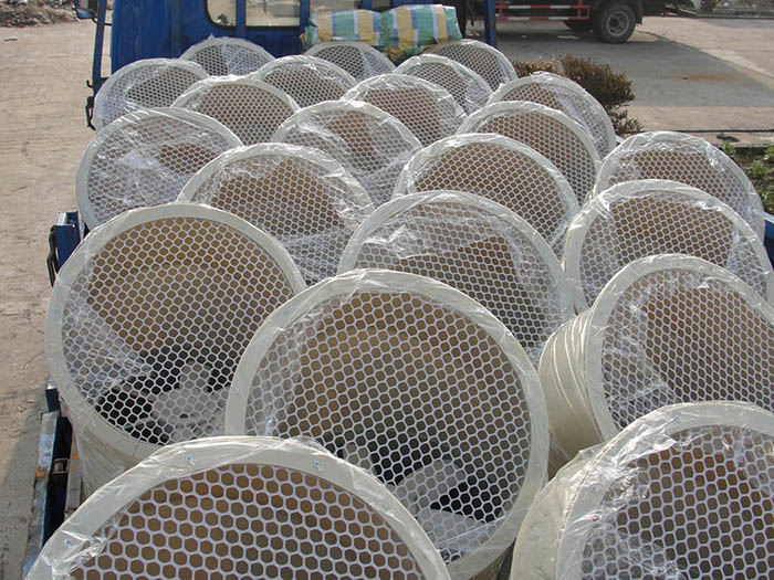 pp風(fēng)機(jī)